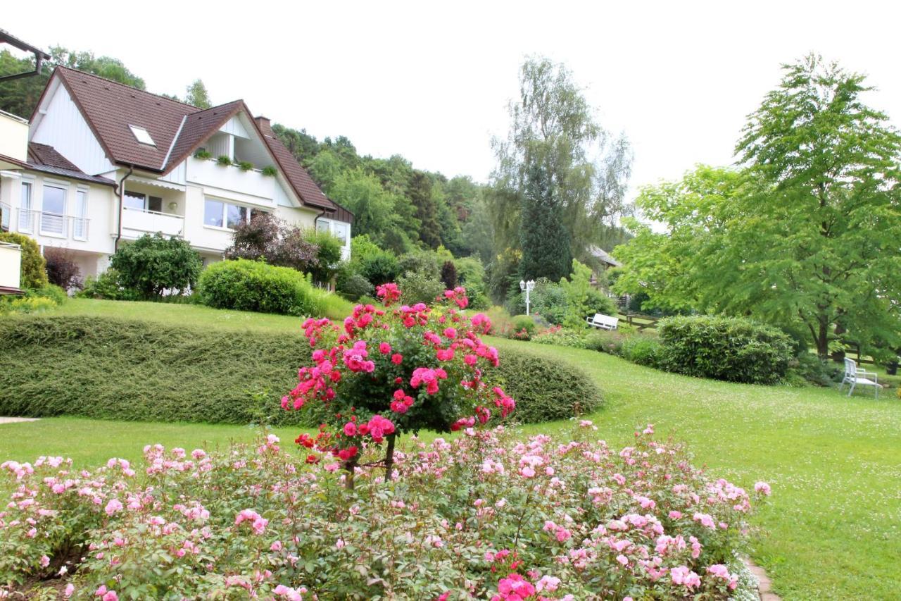 Haus Am Steinberg Daire Bad Driburg Dış mekan fotoğraf