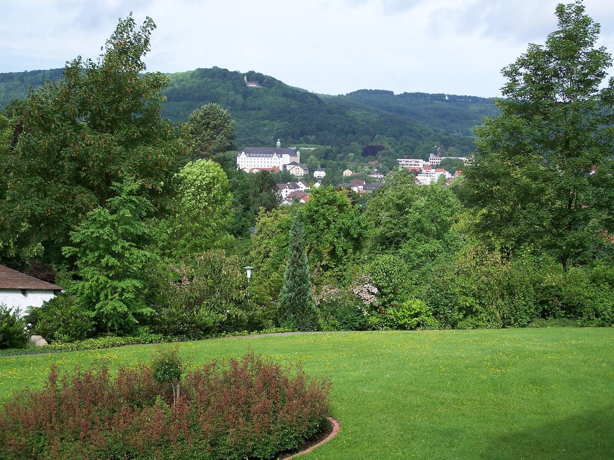 Haus Am Steinberg Daire Bad Driburg Dış mekan fotoğraf