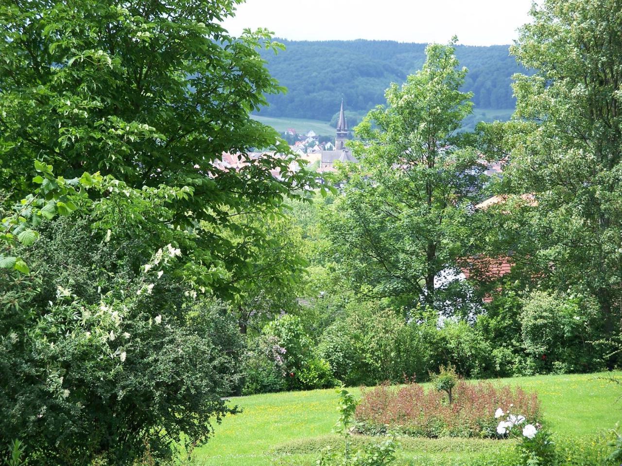 Haus Am Steinberg Daire Bad Driburg Dış mekan fotoğraf